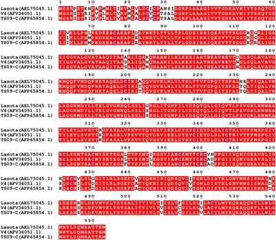 Fusion Protein Cleavage Site Containing Three Basic Amino Acids Attenuates Newcastle Disease Virus in Chicken Embryos: Use as an in ovo Vaccine